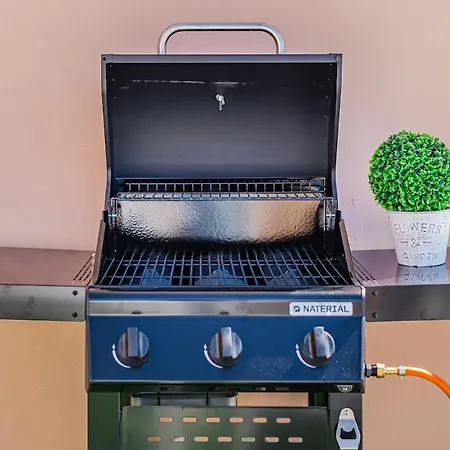 Luxury In Paradise Cort 公寓 阿德耶